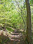 ...und steigen durch Wald...
