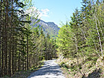 ...und kurvigen Forstweg bergab...