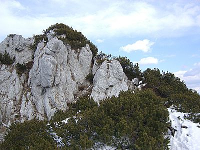 ...vorbei an Felsen und Latschen