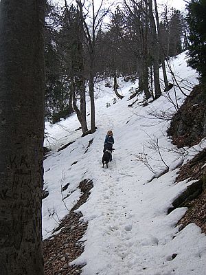 Durch ein weiteres Waldsück geht's zügig