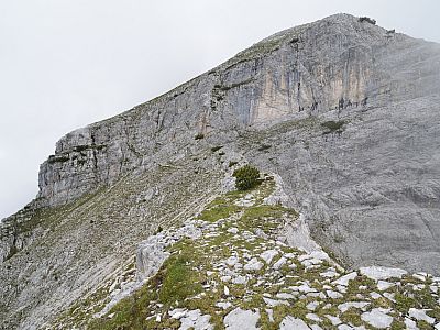 Ein Stück links ... 