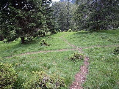 An dieser Kreuzung biegen wir links nach Westen ab