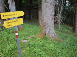 Der Weg weiter nach Westen zur Hinterhornalm ist gut beschildert