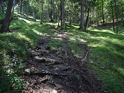... auf dem wir schnell an Höhe gewinnen.