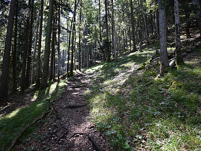 Nach Osten wird der Steig ein wenig flacher