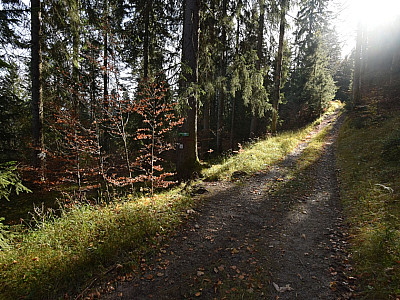 ... und den Wirtschaftsweg etwa 100 m später  nach links verlassen.