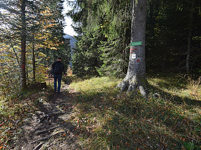 Der Weg dreht nun nach Süden ... 
