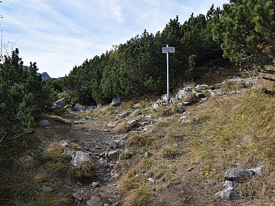 Nach etwa 400 Metern biegen wir rechts zum Gipfel ab