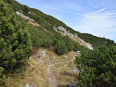 Durch Latschen steigen wir zum weithin sichtbaren Gipfelkreuz auf