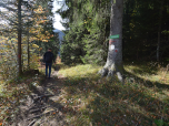 Der Weg dreht nun nach Süden ...