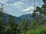 Blick zum Großen Laber im Nordwesten