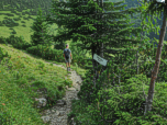 Über den Oberauer Steig geht es bergab