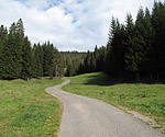 Der Weg von der Auenhütte