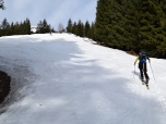 Über eine Schneise steigen wir  links der Piste weiter auf