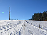 Wir biegen links ab und steuern auf den Sender Hohenpeißenberg zu