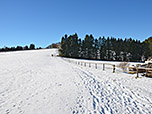 ...und halten auf den höchsten Punkt des Hohen Peißenbergs zu