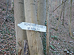 Wir halten uns Richtung Weinbauer und Hoher Peißenberg