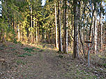 Der Stollenweg...
