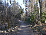 Ein Forstweg leitet uns in der Folgezeit bergab