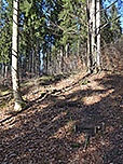 ...und folgen so der Beschilderung "zum Berg"