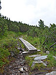 ...und Planken...