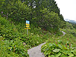 Wir schlagen den beschilderten Weg zum Friesenberghaus ein...