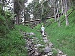 Auf abwechslungsreichen Pfaden durch den Wald