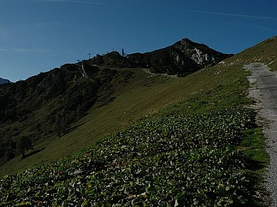 auf die Bergstation zu