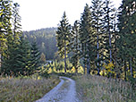 Danach folgen wir einem Karrenweg südwärts...