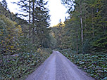 ...und spazieren für die nächsten 30 Minuten durchs Breitenbachtal zurück nach Bad Wiessee