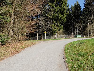 Hier biegen wir links in den Wald ab