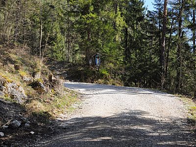 ... rasch zu einer Forststraße.