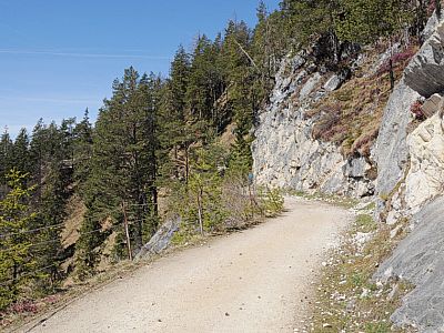 Wir genießen die warme Frühlingssonne