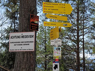 In 15 Minuten sind wir an der Buchackeralm