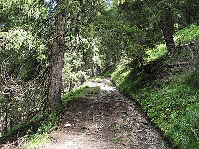 Die Steigung legt wieder zu