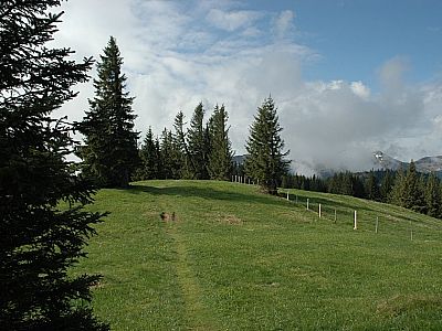 Weiter auf der Wiese