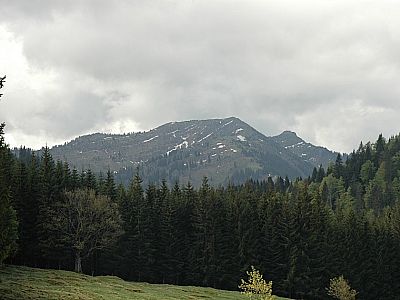 Blick zum Steineberg