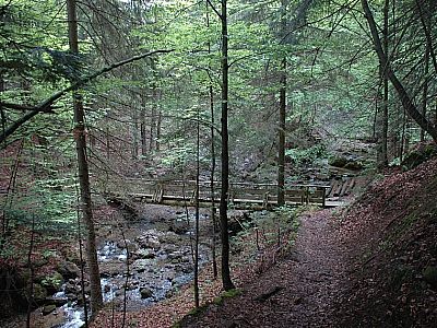 lohnt für eine Erfrischung der Abzweig...