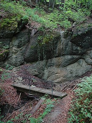 Über den Hornweg...