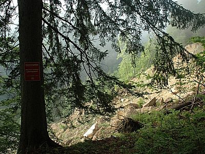 Abrisskante des Felssturzes vom 22. März 2006