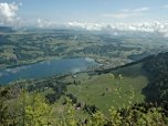 Blick auf den Alpsee...