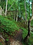 Durch den Wald...