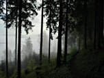 Nebelromantik