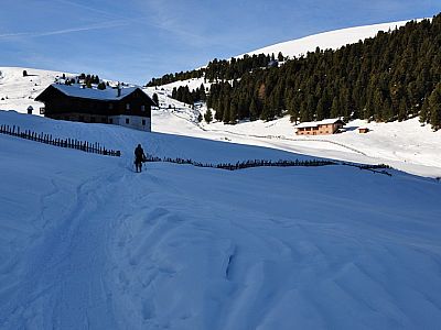 Kurz vor der Brogleshütte.