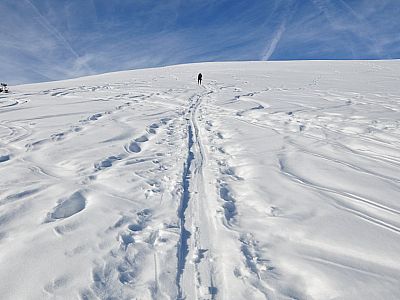 Der flache Gipfelanstieg wird mit....