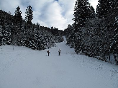 Der untere Teil der Skipiste