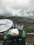 Auf ein Cream-Bun sollte man keinesfalls verzichten