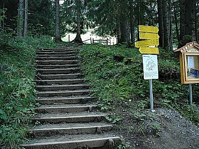 Über die Treppe auf die Almwiese