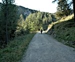 ... auf eine Forststraße zu.