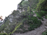 Der Weg führt an der steilabfallenden Nordkante des Jochbergs entlang
